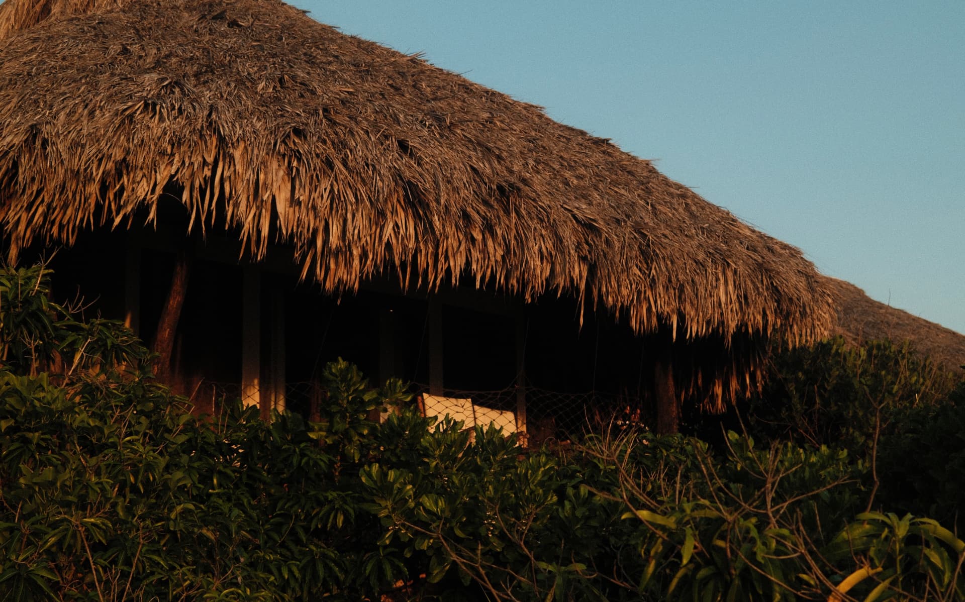 Thatched roof shelter in a tropical landscape